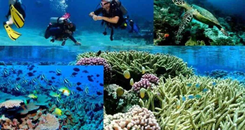 Top Famous Places to Visit in Andaman Nicobar Islands