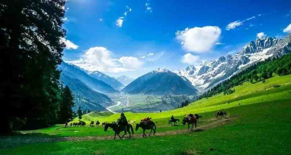 Places to Visit in Jammu and Kashmir