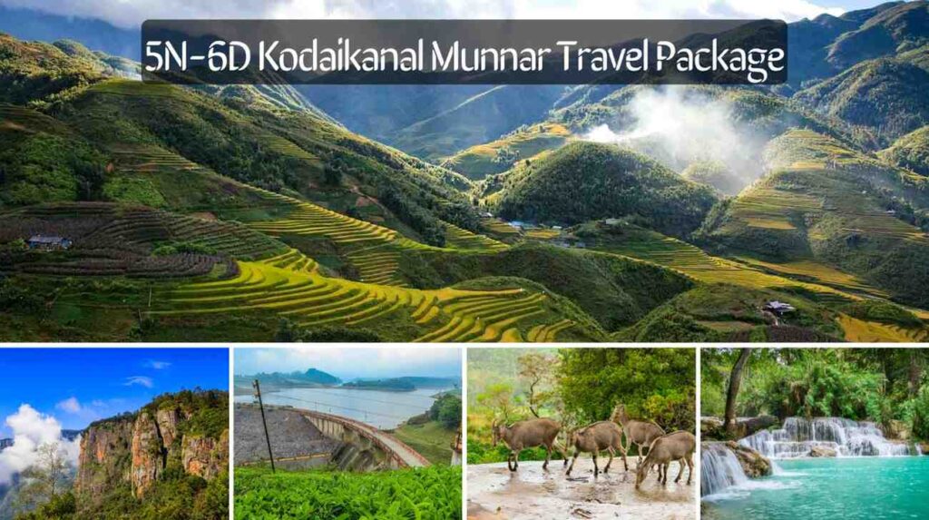 5N-6D-Kodaikanal-Munnar-Travel-Packag