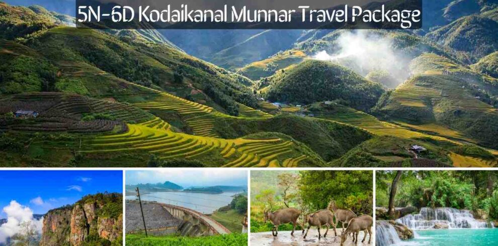 5N-6D-Kodaikanal-Munnar-Travel-Packag