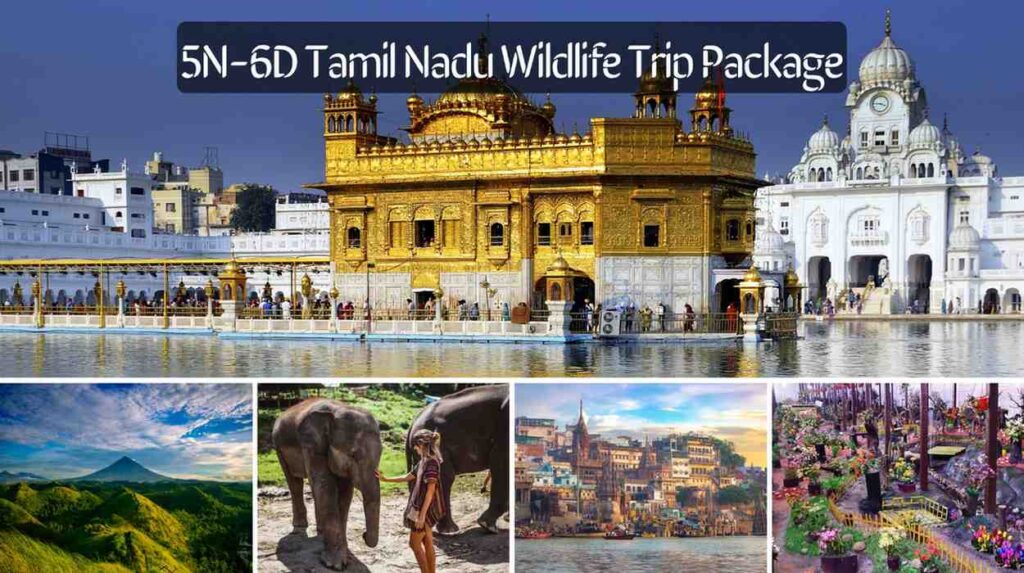5N-6D-Tamil-Nadu-Wildlife-Trip-Package