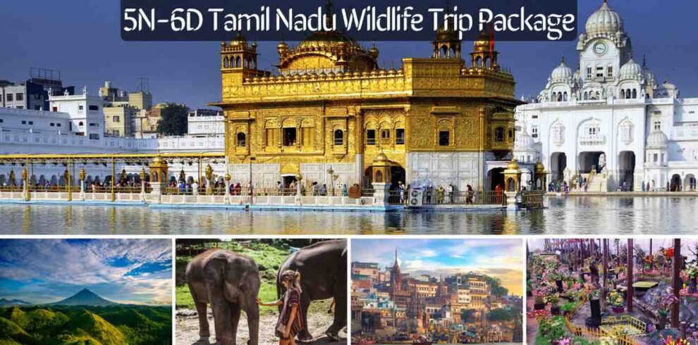 5N-6D-Tamil-Nadu-Wildlife-Trip-Package
